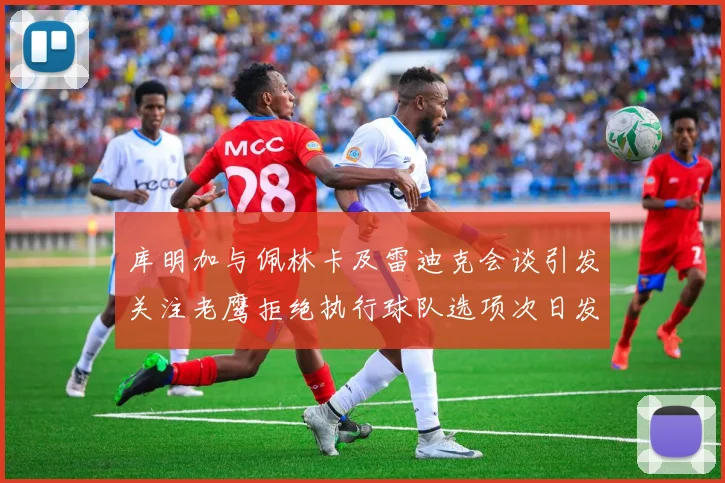 库明加与佩林卡及雷迪克会谈引发关注老鹰拒绝执行球队选项次日发生